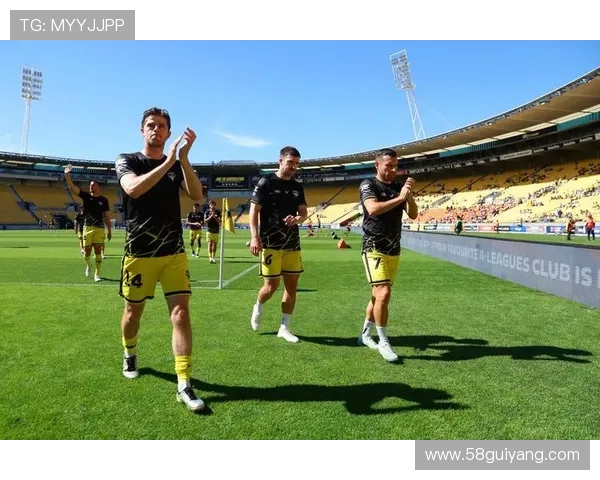 《《官方确认惠灵顿凤凰后防主力佩恩锁骨折损,确定无缘对战中央海岸》